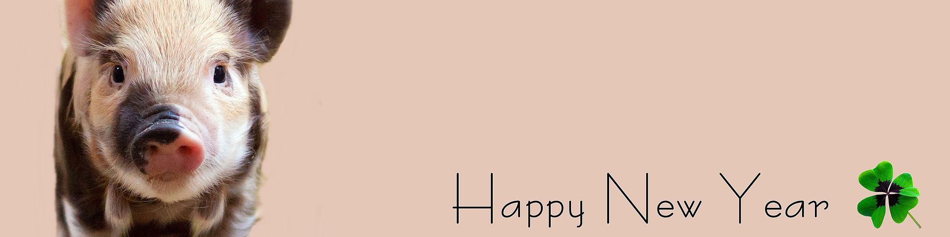 Liebe Freunde des Bezirksverbandes Büren